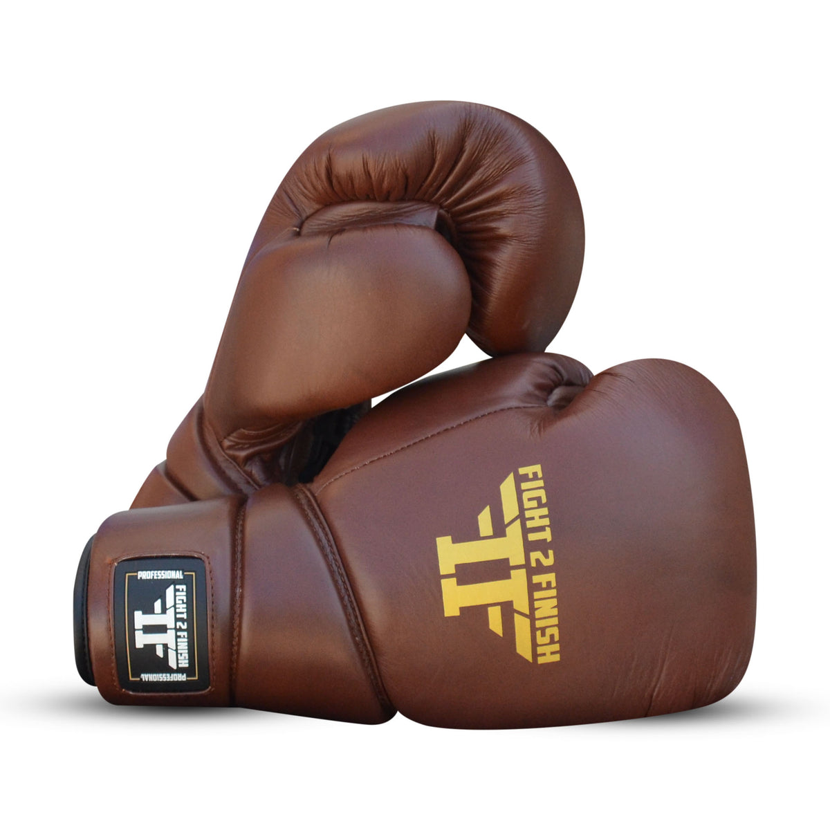 Fight To Finish SPARRING GLOVES 3.0