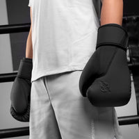 Hayabusa T360 Boxing Gloves