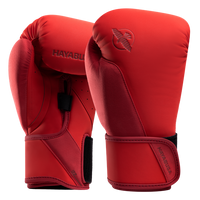 Hayabusa T360 Boxing Gloves