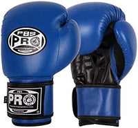 Pro Boxing® Series Deluxe Starter Boxing Gloves