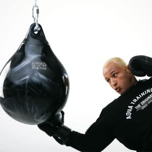 Aqua Punching Bag