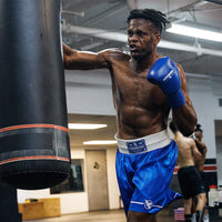 Hayabusa Pro Boxing Gloves