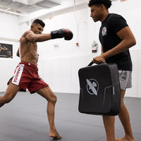 Hayabusa PTS3 Kick Shield