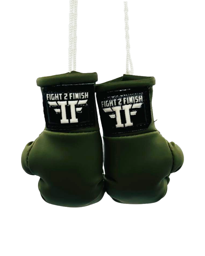 FIGHT 2 FINISH MINI GLOVES