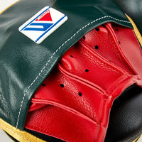 WINNING JAPAN BOXING OVAL CURVED PUNCH MITTS