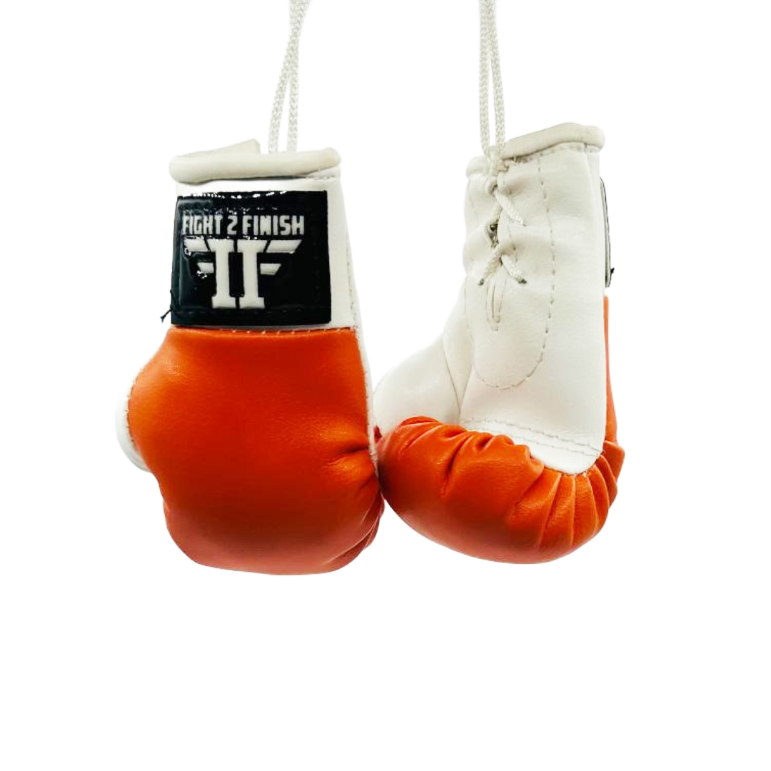 FIGHT 2 FINISH MINI GLOVES