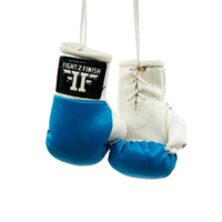 FIGHT 2 FINISH MINI GLOVES
