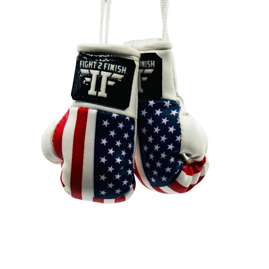 FIGHT 2 FINISH MINI GLOVES