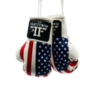 FIGHT 2 FINISH MINI GLOVES