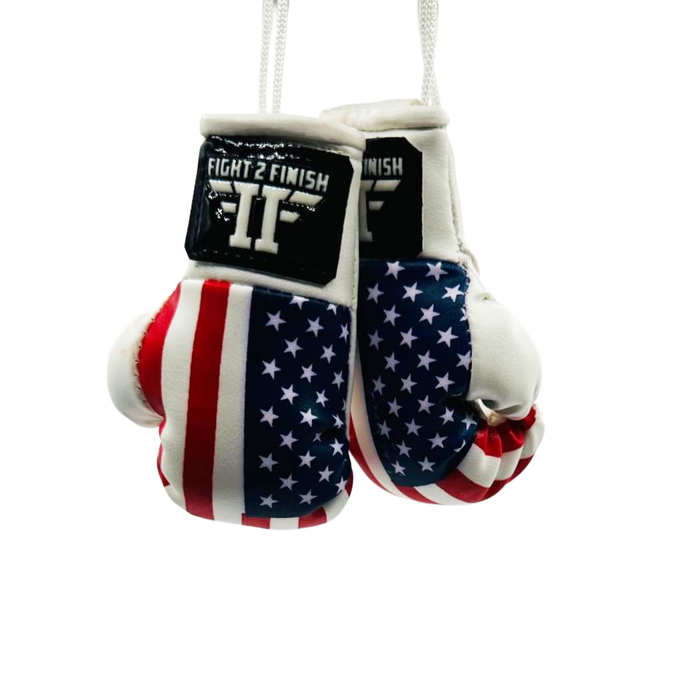 FIGHT 2 FINISH MINI GLOVES