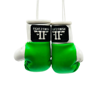 FIGHT 2 FINISH MINI GLOVES