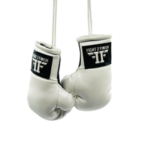 FIGHT 2 FINISH MINI GLOVES