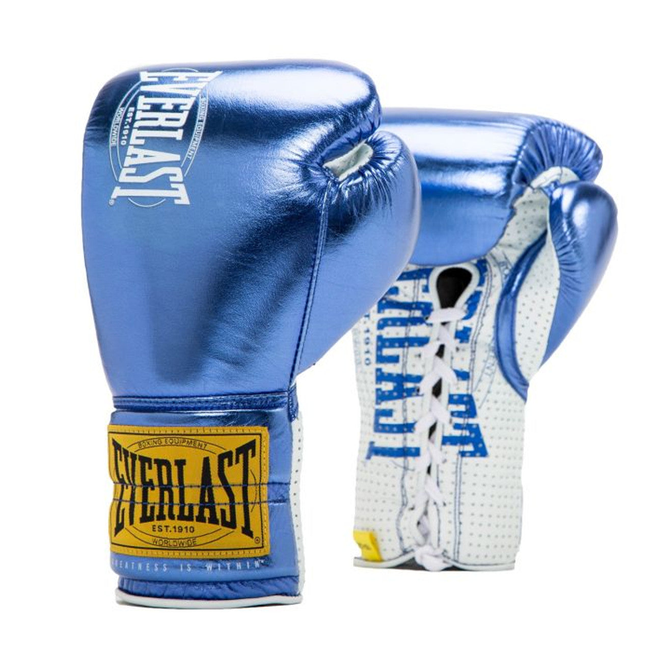 Everlast 1910 Classic Fight Gloves FIGHT 2 FINISH