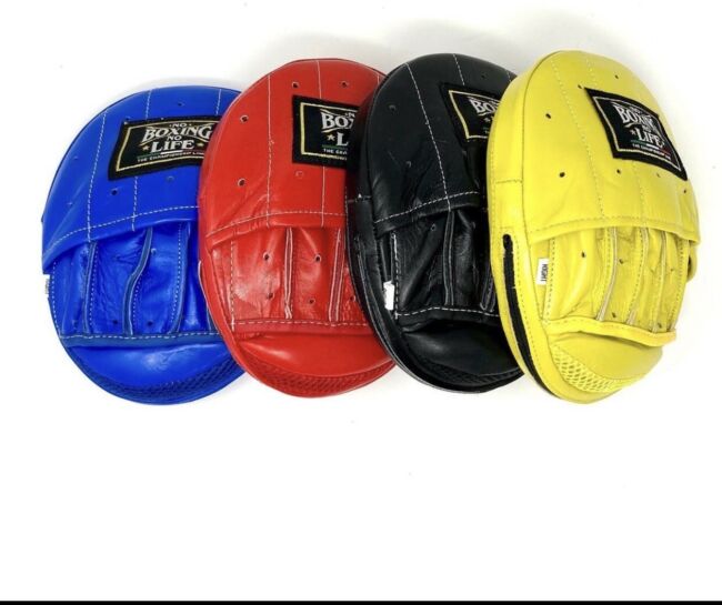 NO BOXING NO LIFE PRECISION MITTS – FIGHT 2 FINISH