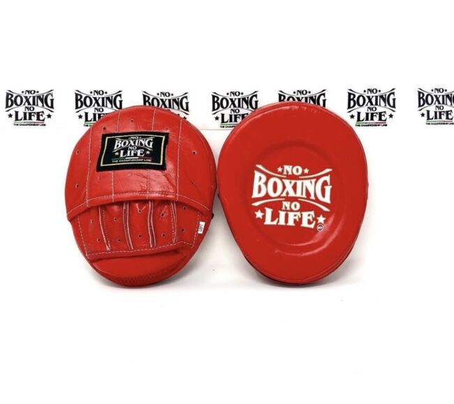 NO BOXING NO LIFE PRECISION MITTS – FIGHT 2 FINISH