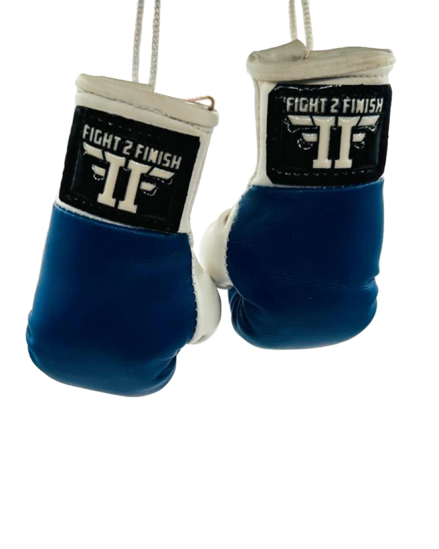 FIGHT 2 FINISH MINI GLOVES
