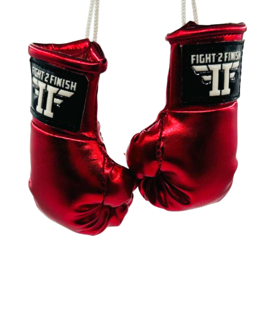 FIGHT 2 FINISH MINI GLOVES