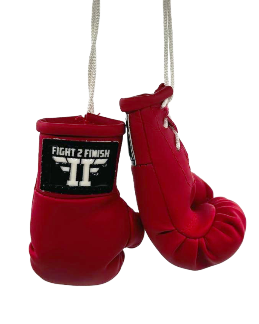 FIGHT 2 FINISH MINI GLOVES