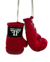 FIGHT 2 FINISH MINI GLOVES