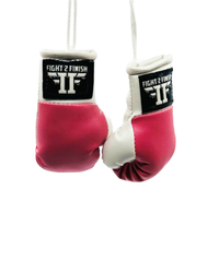 FIGHT 2 FINISH MINI GLOVES