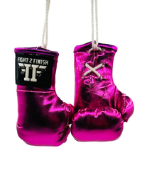 FIGHT 2 FINISH MINI GLOVES