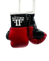FIGHT 2 FINISH MINI GLOVES