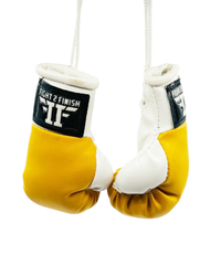 FIGHT 2 FINISH MINI GLOVES