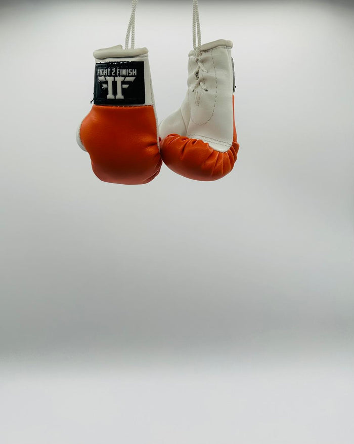 FIGHT 2 FINISH MINI GLOVES