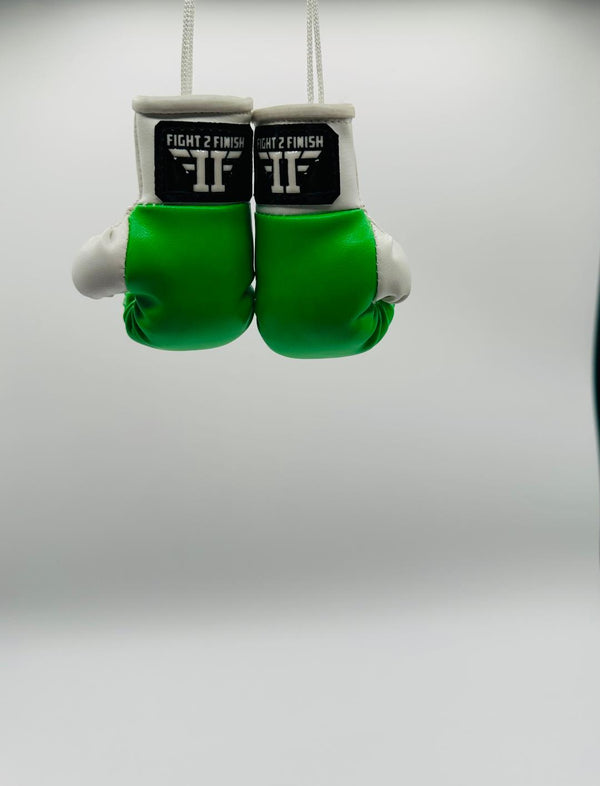 FIGHT 2 FINISH MINI GLOVES