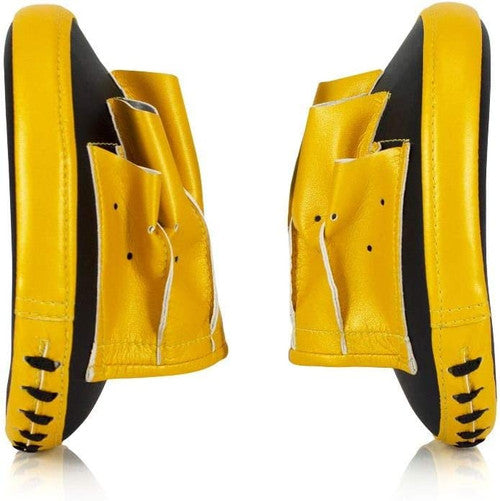Fairtex FMV15 Cuved Muay Thai Boxing Focus Punch Mitts (Pair